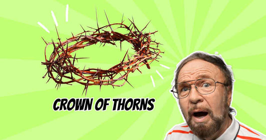 Crown of Thorns