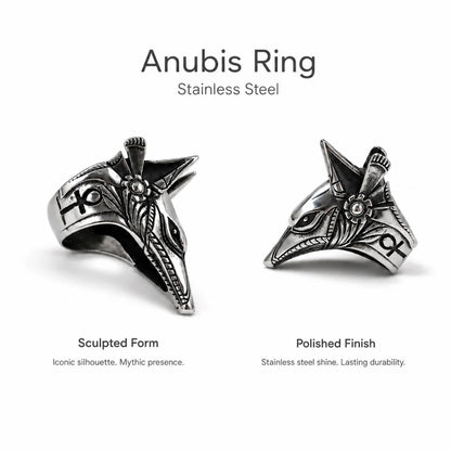Anubis Ring Silver Multi Angle Product Feature Showcase