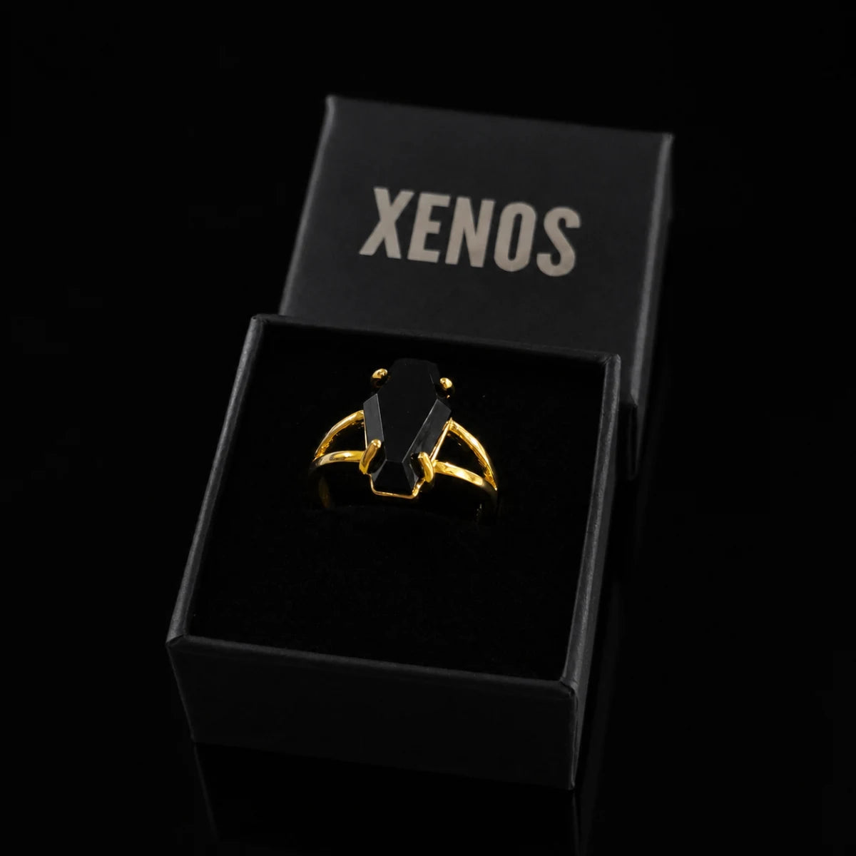 Black Coffin Ring Gold Displayed in Xenos Jewelry Box