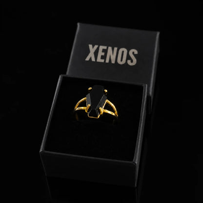 Black Coffin Ring Gold Displayed in Xenos Jewelry Box