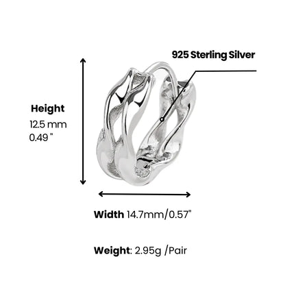 Double Twist Mobius Earrings Dimensions And Weight