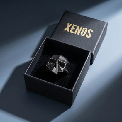 Geometric Skull Ring Inside a Xenos Jewelry Box