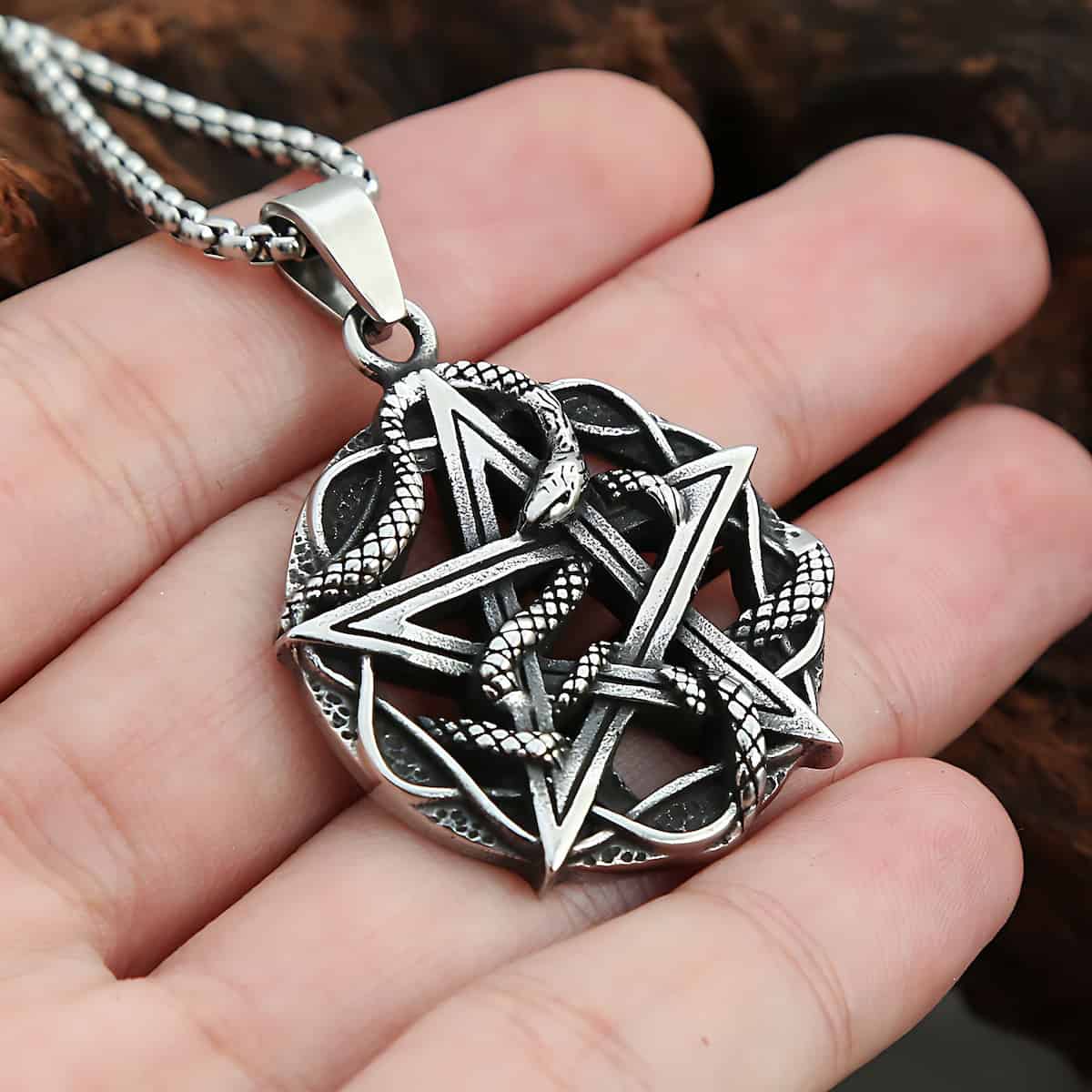 Stainless Steel Snake Pentagram Necklace