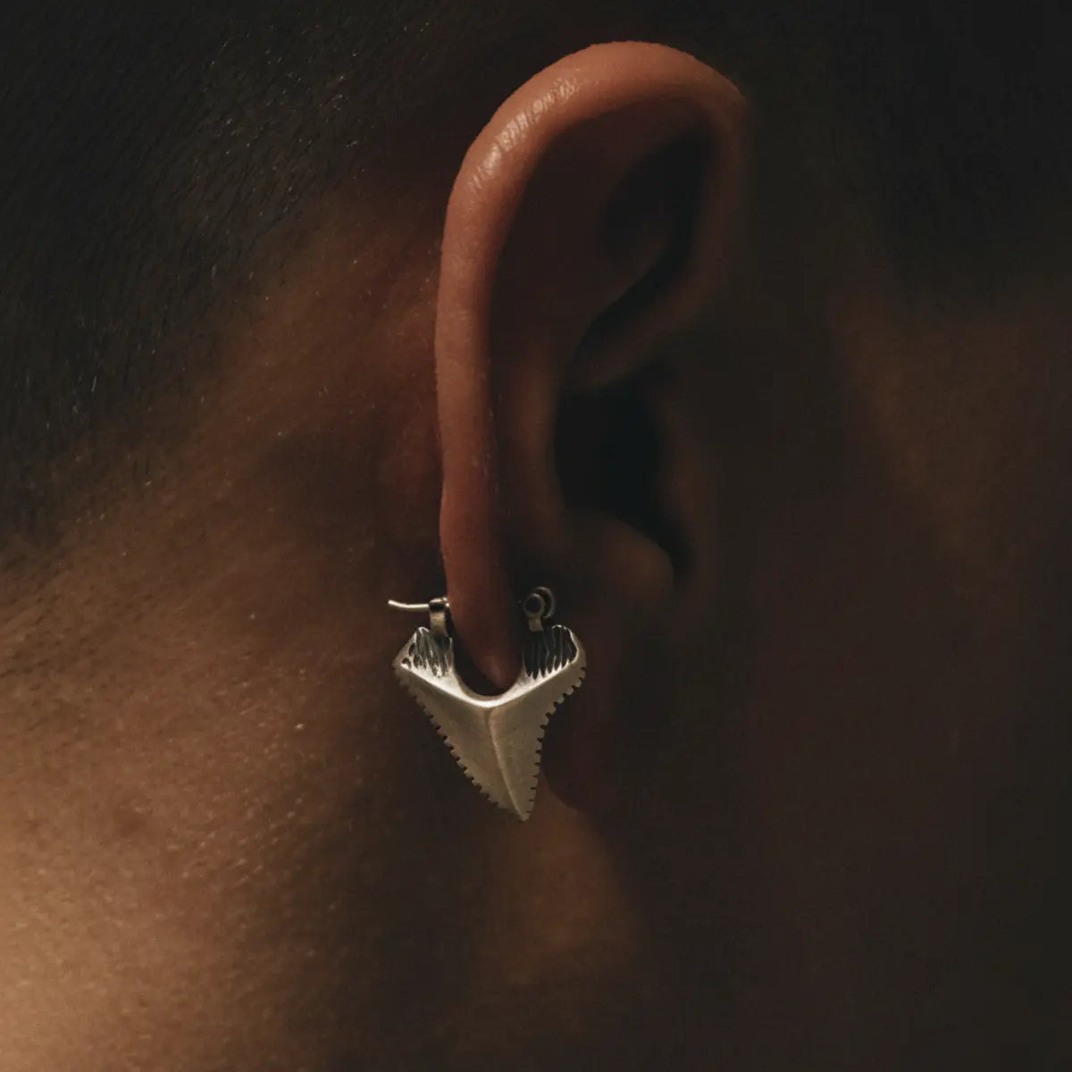 Sterling Silver Shark Tooth Earrings Worn by Male Model