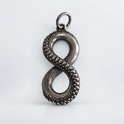 infinity snake necklace pendant only white background